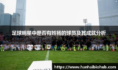 足球明星中是否有姓杨的球员及其成就分析