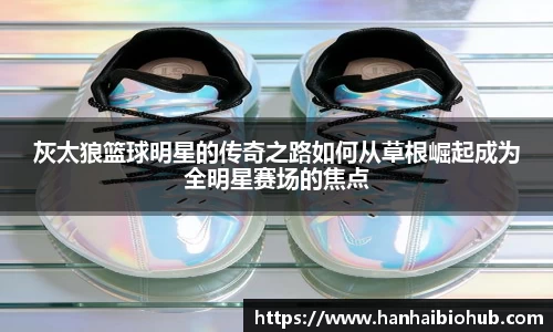 星空综合